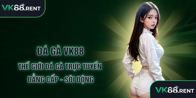 Đá gà vk88